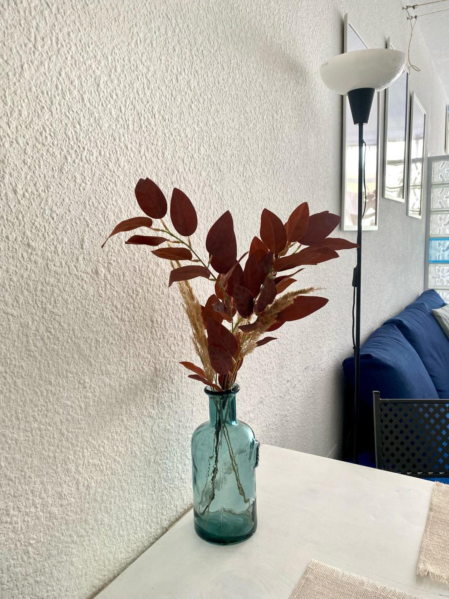 Arcadia Del Mar Apartment 코라레호 외부 사진